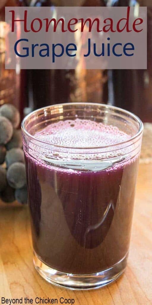 Homemade Grape Juice - Beyond The Chicken Coop