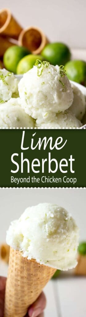 Lime Sherbet Beyond The Chicken Coop 7765