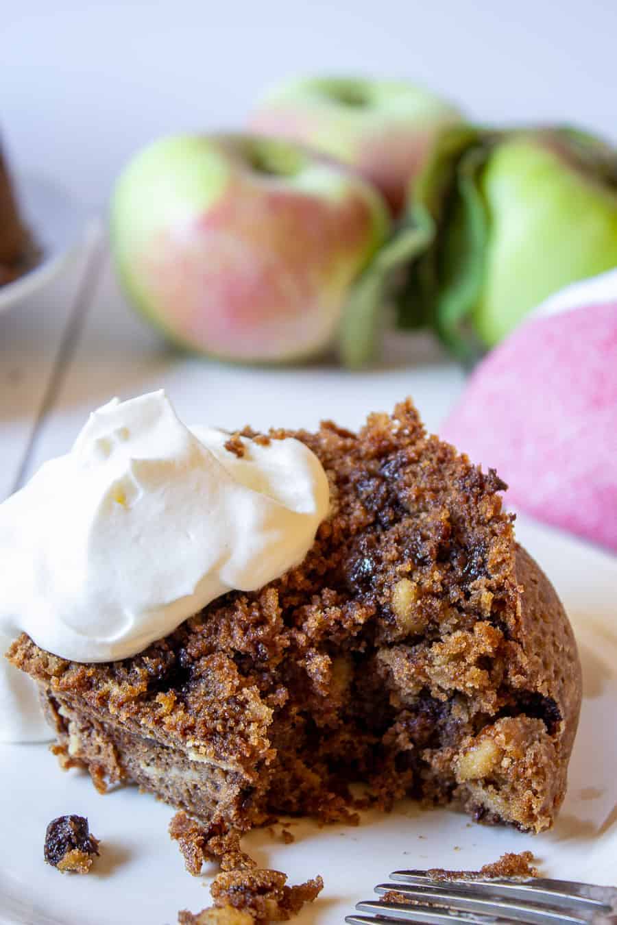 Cocoa Apple Cake - Beyond The Chicken Coop