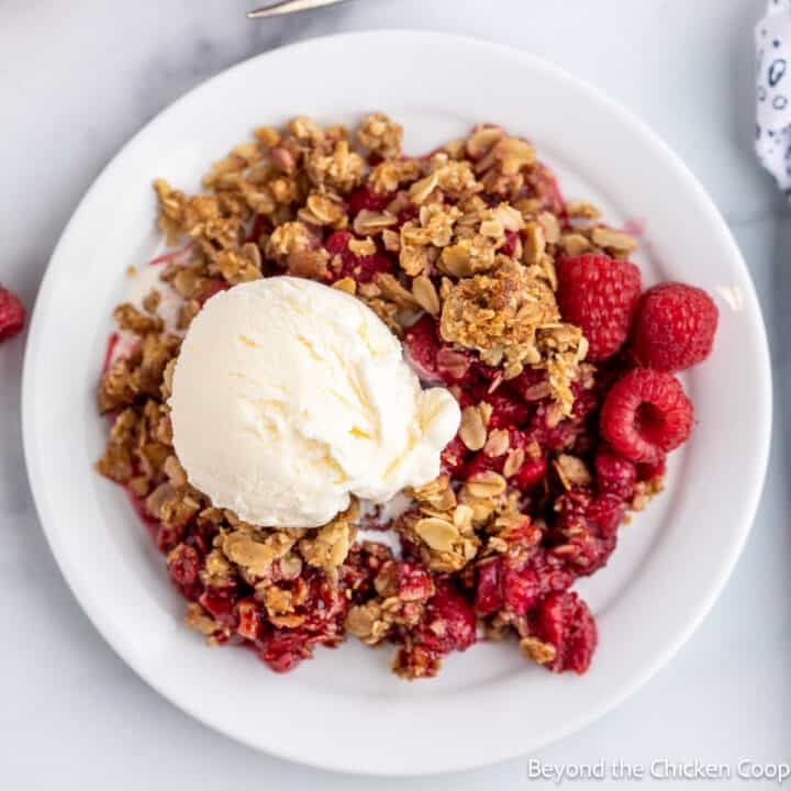 Cocoa Apple Cake - Beyond The Chicken Coop