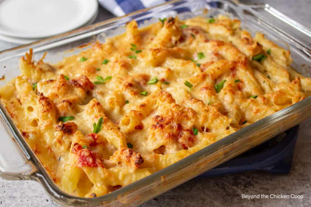 Chicken Pasta Casserole - Beyond The Chicken Coop