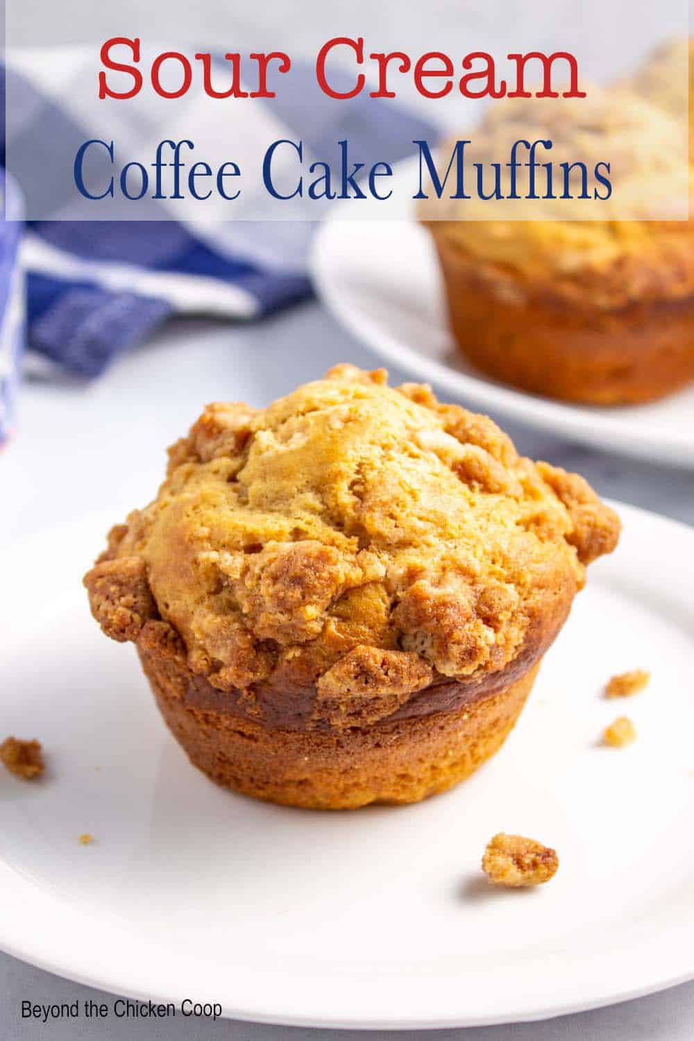 Coffee Cake Muffins - Beyond The Chicken Coop