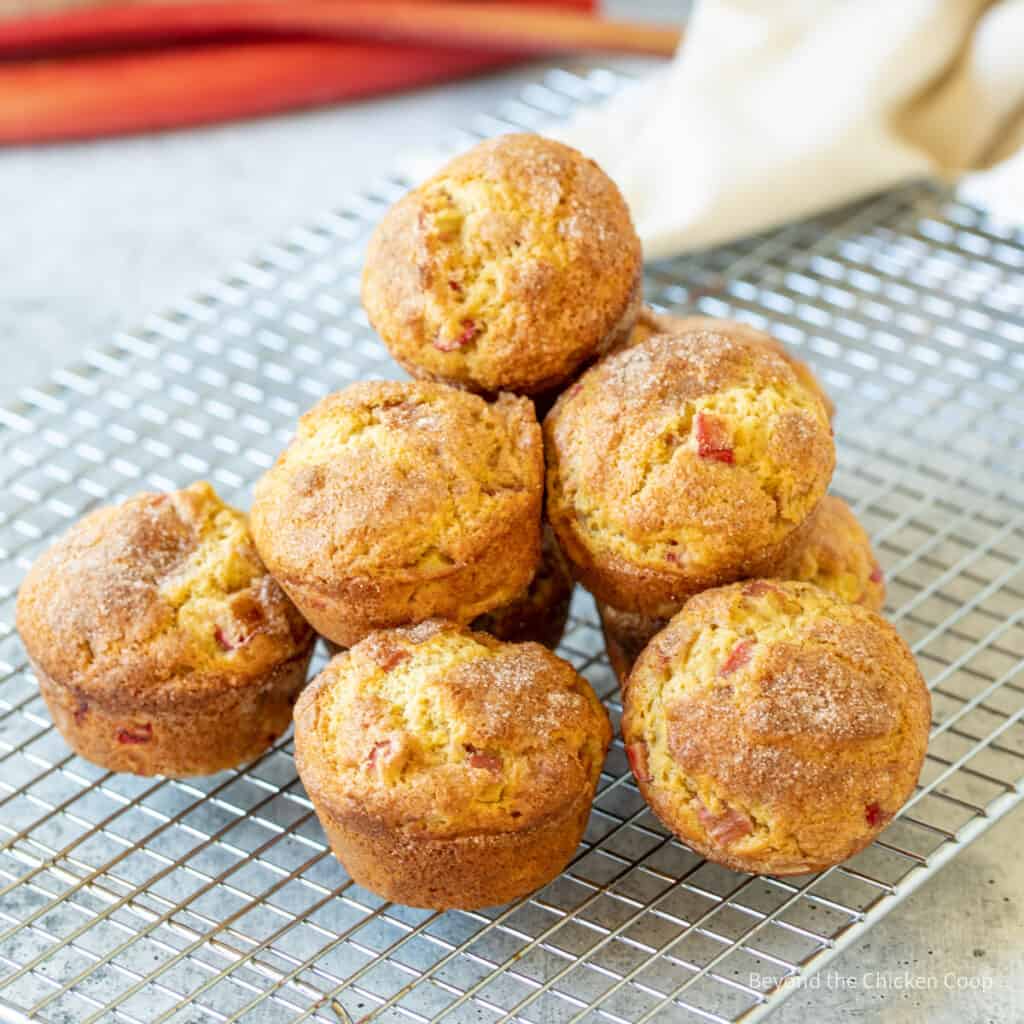 Rhubarb Muffins - Beyond The Chicken Coop