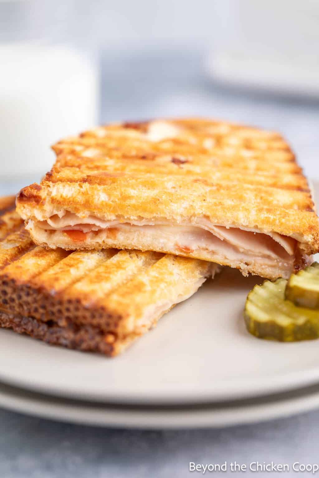 Turkey Panini - Beyond The Chicken Coop