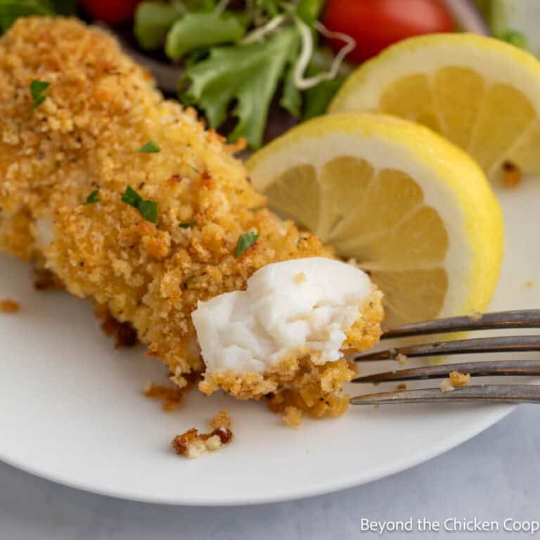 Parmesan Crusted Halibut - Beyond The Chicken Coop