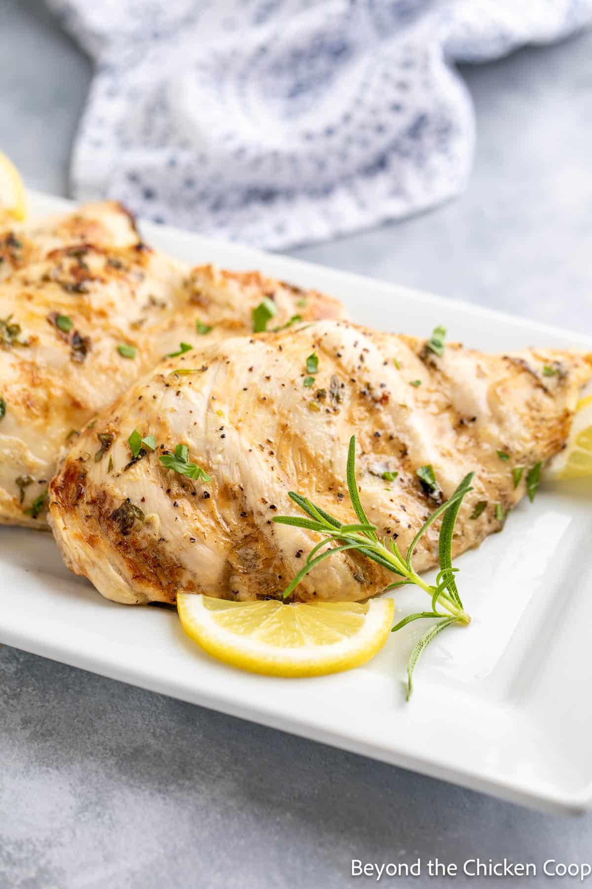 A platter with grilled chicken with herbs and lemon slices. 