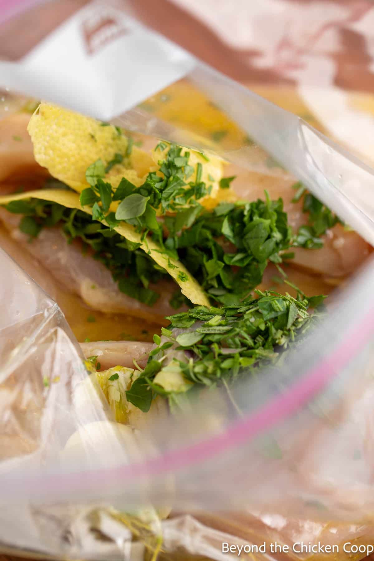 Filling a plastic bag with herbs, lemon zest and garlic. 